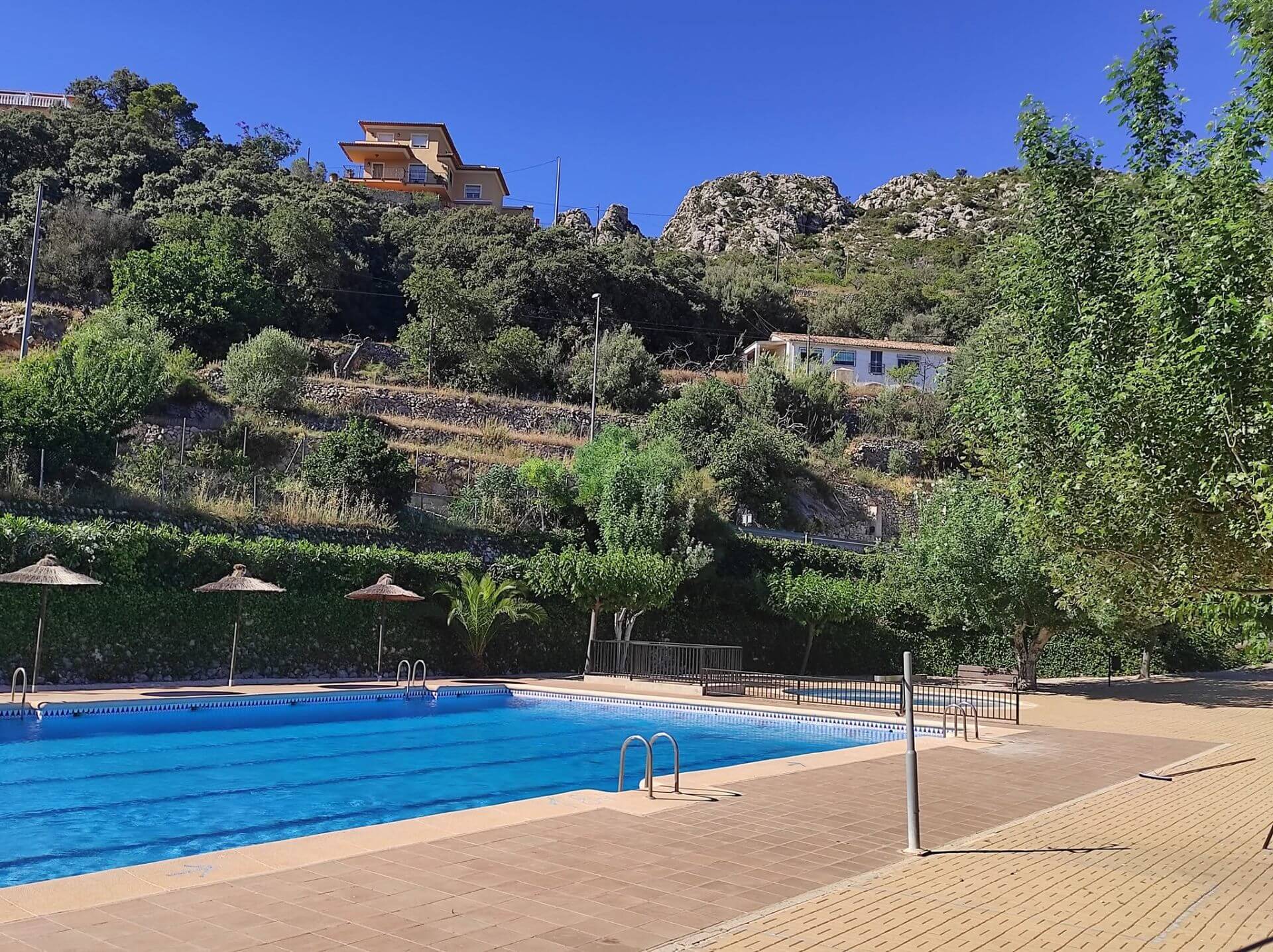 Piscina comunitaria de Tarbena con tumbonas, palmeras y vistas a la montaña